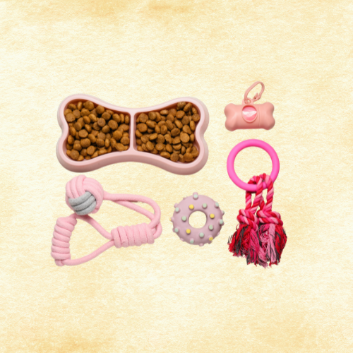 Pet Accessories